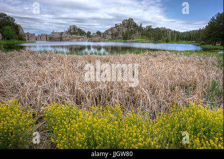 Dry grass and plants in the foreground of the famous Sylvan Lake near Custer, South Dakota. Stock Photo