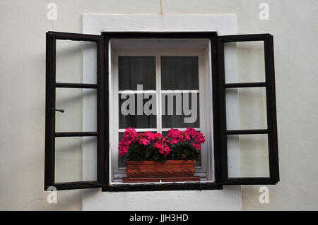 Purple flowers on the old European window Stock Photo