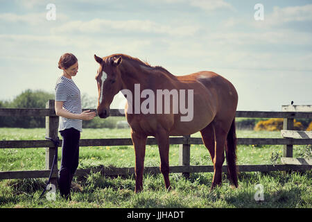 A young woman standing with her horse in a paddock. Stock Photo