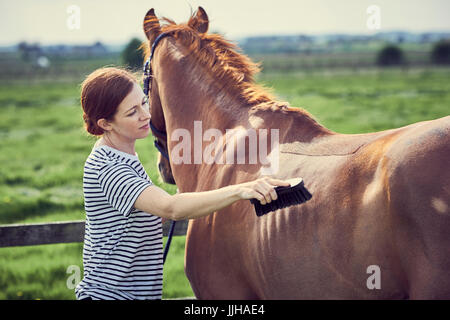 A young woman grooming her horse in a paddock.