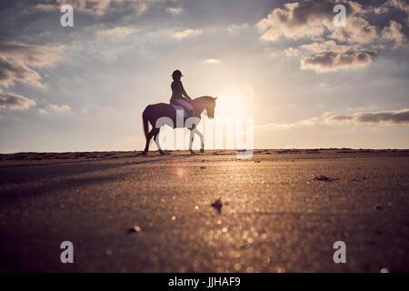 A young woman riding her horse on the beach at sunset. Stock Photo