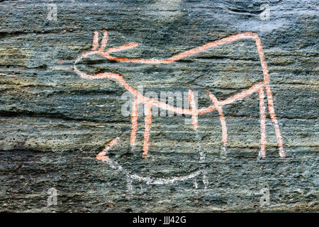 Petroglyphs at Skavberget, Hella. Kvaløya, Tromsø, Norway. Stock Photo
