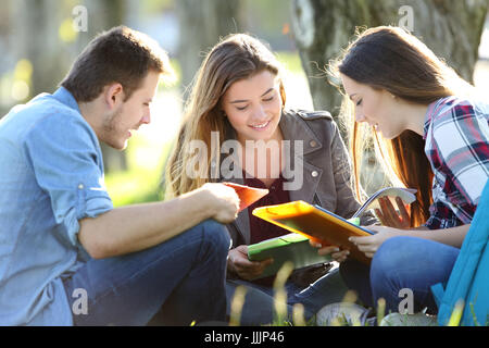 Three students studying reading notes together outdoors sitting on the grass Stock Photo