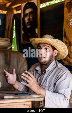 A cigar rolling demonstration at CASA MANOLO, famous for its organic cigars - VINALES, CUBA Stock Photo