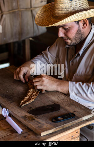 A cigar rolling demonstration at CASA MANOLO, famous for its organic cigars - VINALES, CUBA Stock Photo