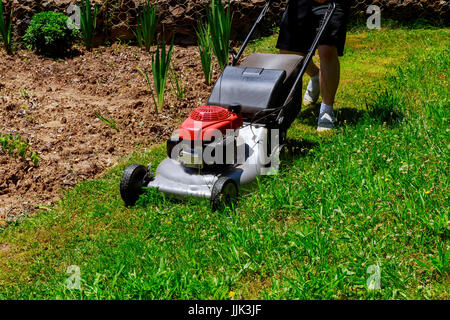 Lawnmower being used by gardener for mowing grass Stock Photo