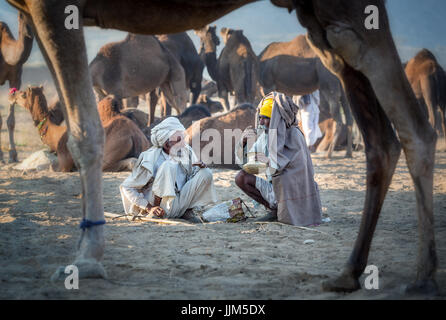 Two men having a break at the Pushkar Mela camel fair, Pushkar, Rajasthan, India Stock Photo