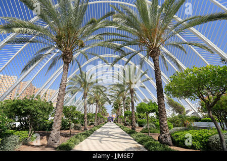 VALENCIA, SPAIN - JULY 24, 2017: L'Umbracle , part of the City of Arts and Sciencesis complex in Valencia, Spain, is a sculpture garden. Stock Photo