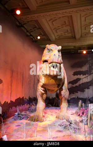 Animatronic T-rex dinosaur at Natural History Museum London Stock Photo