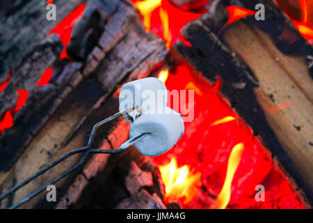 Roasting marshmallows for smores over an open campfire. Stock Photo