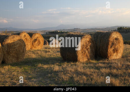 Hay bales on the hills of Tuscany - Strada di Leonina, Asciano - Siena, Tuscany, Italy Stock Photo