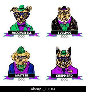 Hipster animals set dog, Large group of dog breeds, isolated vector art Stock Vector