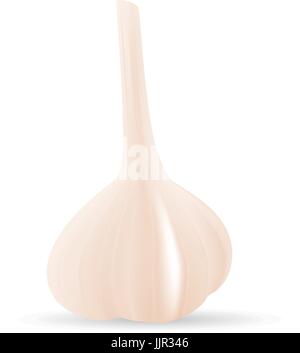 Photo Realistic Vector Garlic Isolated On A White Background. Stock Vector