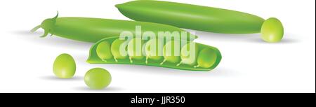 Pods Of Green Peas Isolated On A White Background. Stock Vector