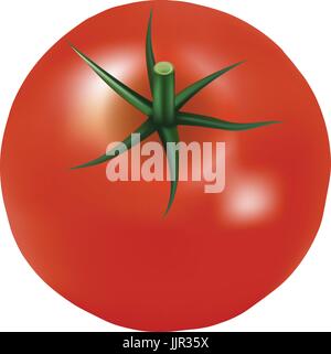 Big Ripe Red Fresh Tomato With Parsley Isolated On A White Background. Stock Vector