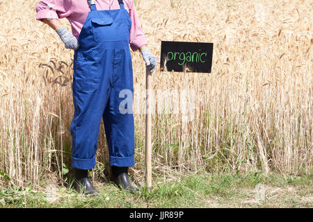 Farmer standing in front of the organic wheat field Stock Photo