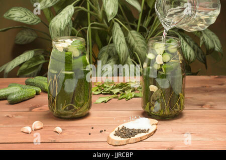 Pickled cSalted cucumber in a jar with vegetable ingredients and brineucumbers in a jar Stock Photo