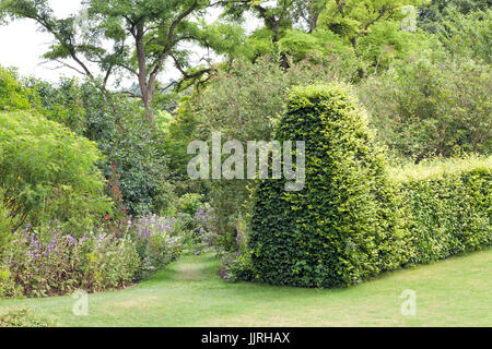Garden walking path between colourful flowers, shrubs and trimmed hedge . Stock Photo