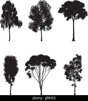 Vector illustration of tree silhouettes   Stock Vector