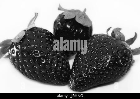 Closeup photo of some black strawberries with high contrast and a white background Stock Photo