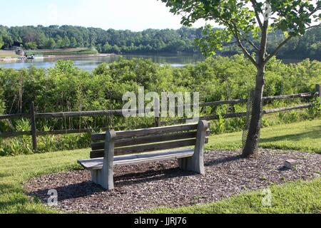 The beautiful day in the park and in nature. Stock Photo