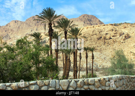 Palm trees and rocky desert hills stand next to the Dead Sea in Israel. Stock Photo