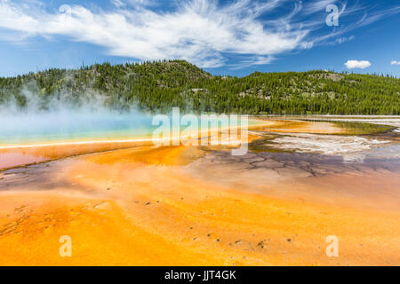 The vivid rainbow colors of the Grand Prismatic Spring in Yellowstone National Park, Wyoming