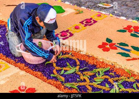 Antigua, Guatemala -  March 26, 2017: Local decorates Lent carpet for procession with flowers & dyed sawdust in colonial town Stock Photo