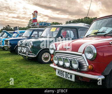 Row of colourful classic Mini cars at Wheels and Wings family event 2016,  East Fortune, East Lothian, Scotland, UK Stock Photo