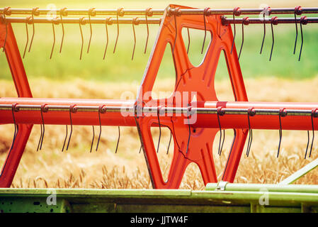 Combine harvester revolving reel harvesting wheat crops in cultivated agricultural field Stock Photo