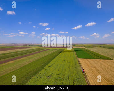 Aerial top view photo from flying drone of a land with sown green fields in countryside in summer. Stock Photo