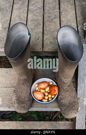 Golden Easter eggs in a bowl. Onions were used to give them an aesthetically pleasing golden look. Stock Photo