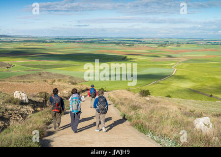 Pilgrims walk in the landscape 'meseta', a long stretch of plateau. Camino de Santiago. Spain, Europe. Stock Photo