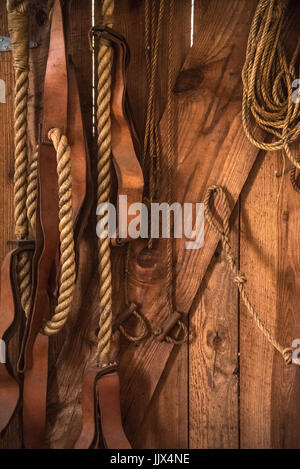 Rope and leather harnesses in a storeroom at historic Fort Clinch on Amelia Island in Fernandina Beach, Florida, USA. Stock Photo