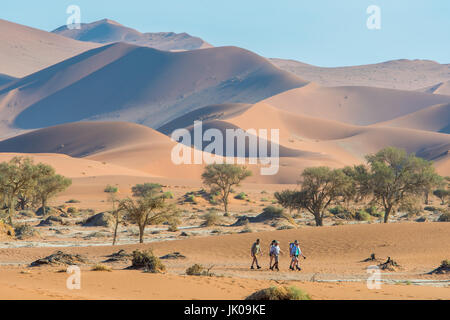 Tourists walking along ancient sand dunes and desert greenery in Namib-Naukluft National Park in Namibia, Africa.Etosha, Namibia Stock Photo