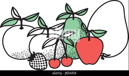 white background with silhouette color sections of tropical fruits Stock Vector