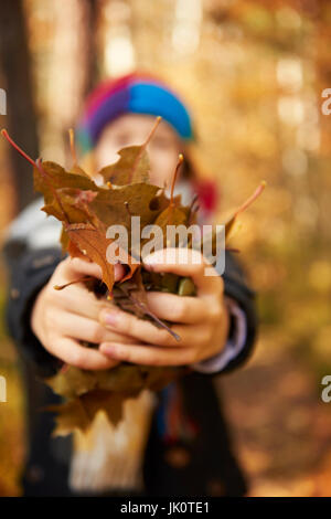 Boy holding plenty of leafs in hands Stock Photo