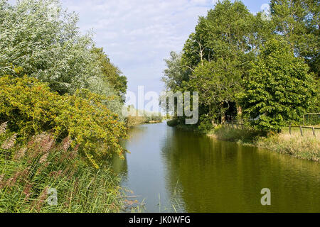 'bank area of a Weser influx in the Weser march in the Indian summer. affluent to the Weser river; the Weser marsh, lower-saxony.', uferbereich eines  Stock Photo