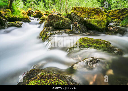 Small mountain stream. Norway. Stock Photo