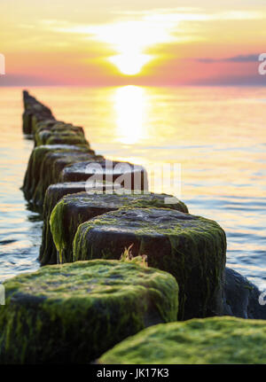 Wooden spur dykes in coastal sunset. Groynes and sea water. Stock Photo