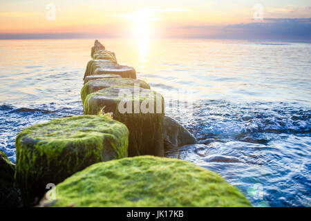 Wooden spur dykes in coastal sunset. Groynes and sea water. Stock Photo