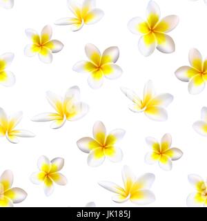 Plumeria Tropical Flowers. Seamless Pattern Background. Vector Stock Vector