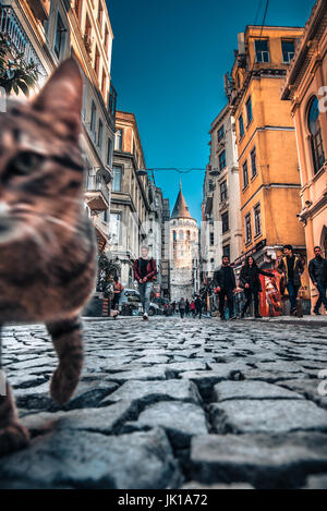 View of old narrow street with the Galata Tower(Turkish: Galata Kulesi)called Christ Tower by Genoese a famous medieval landmark architecture in Istan Stock Photo