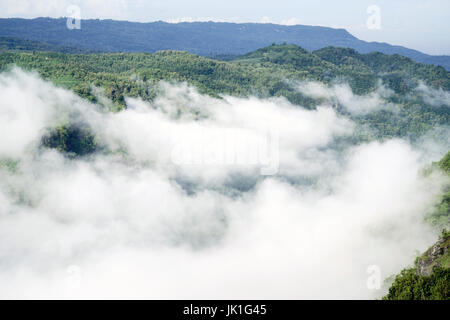 White clouds of mist hovering low between green trees in the early forest morning. Stock Photo