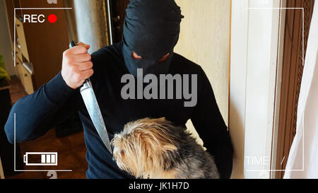 surveillance camera caught the robber in a mask with a knife,trying to stab the dog. Stock Photo