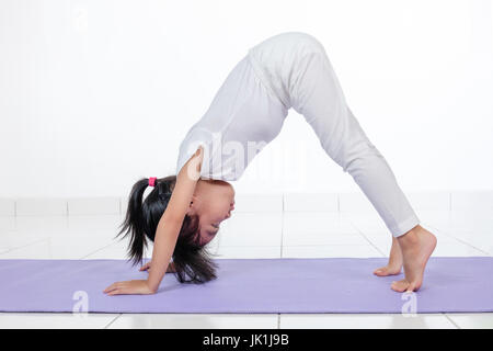 Yoga woman asian chinese exercise fitness stretching meditation Stock  Vector Images - Alamy