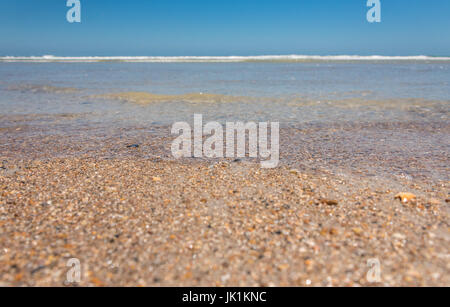 Pristine, empty beach on Amelia Island where waves gently lap along the shell covered shoreline in Fernandina Beach, Florida. (USA) Stock Photo