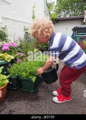 A 2 year old watering plants by the side of house; Showing responsibility and care, using a watering can to look after his plants. One of a series. Stock Photo