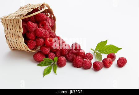 Basket full of freshly picked raspberries. Small basket of fresh raspberries. Stock Photo