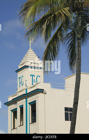 Australia, Queensland, Capricorn Coast, Rockhampton, T&G Building and Palm, Stock Photo